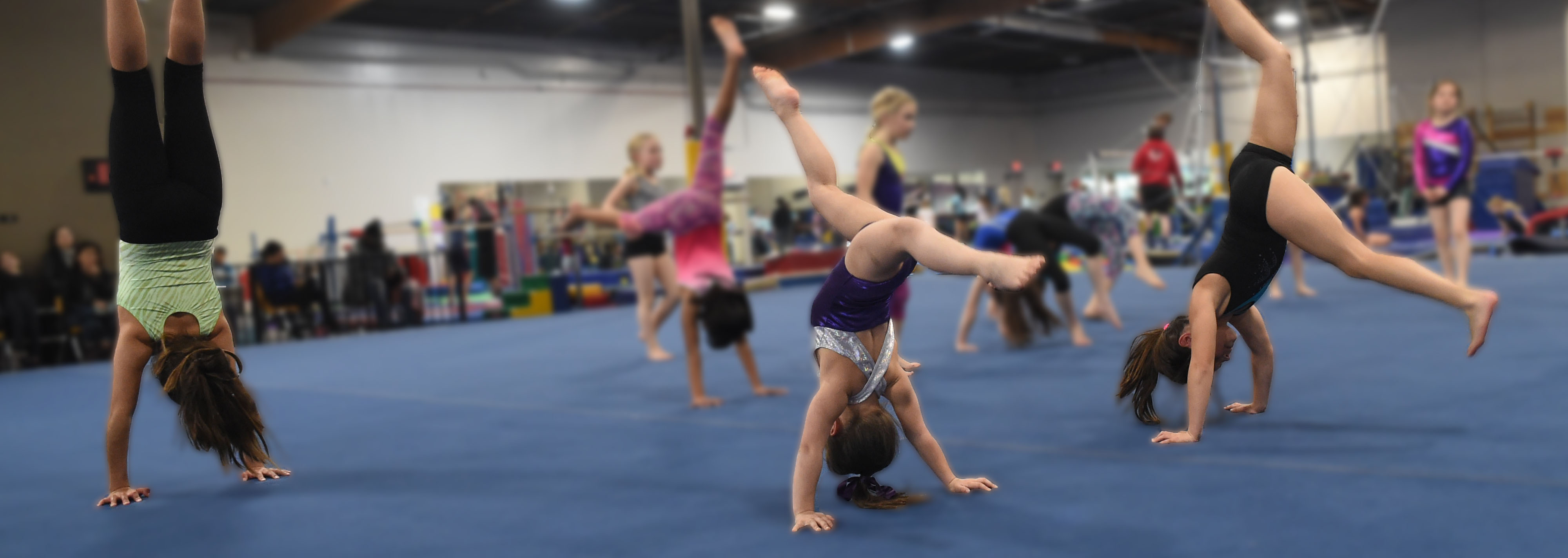 free gymnastics classes for toddlers near me